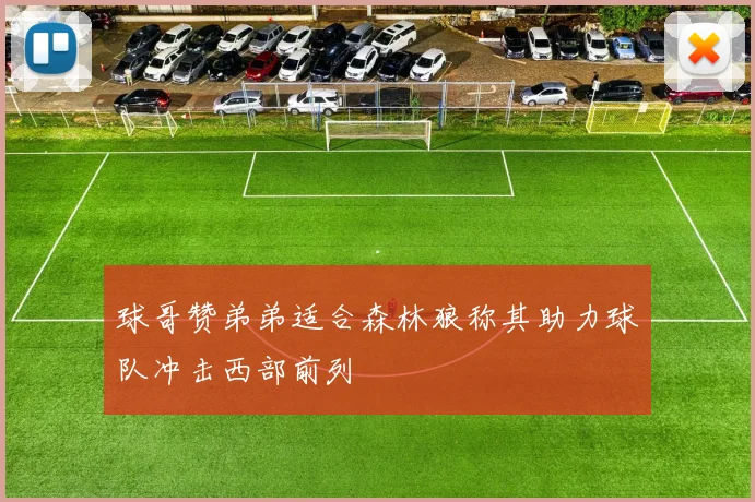 球哥赞弟弟适合森林狼称其助力球队冲击西部前列