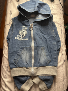 Jieshan 14, 12 Mo, vest, jean zip-up w. hood, eagle detail on right